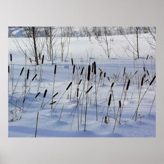 Winter in Quebec, Kanada Poster (Vorne)