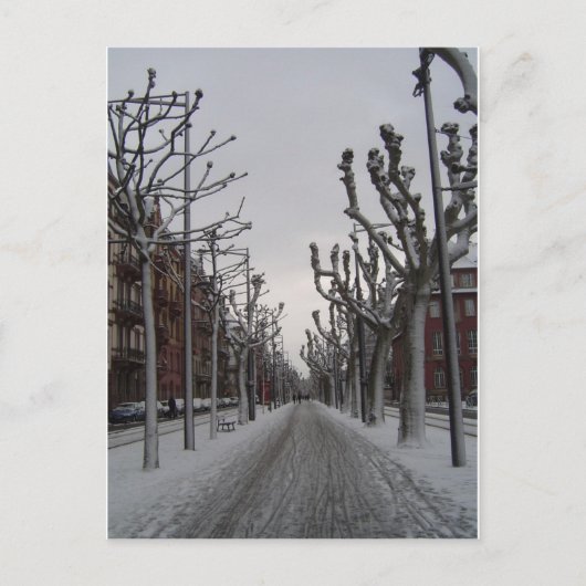 Winter in Straßburg Postkarte (Vorderseite)
