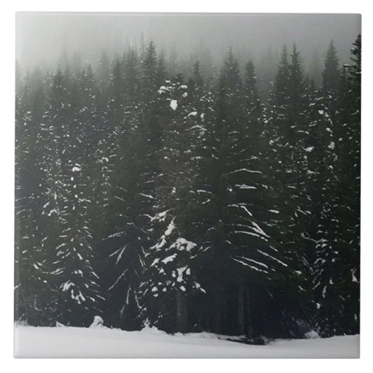 Winter in the Mountain Forest Fliese (Vorderseite)