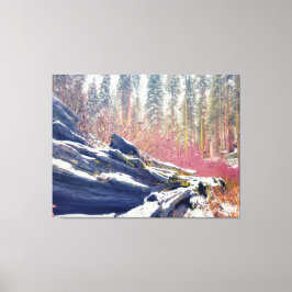 Winter in Wald Leinwanddruck