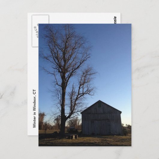 Winter in Windsor, CT Postcard Postkarte (Vorne/Hinten)