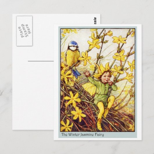 Winter-Jasmin-Fee Postkarte (Vorne/Hinten)