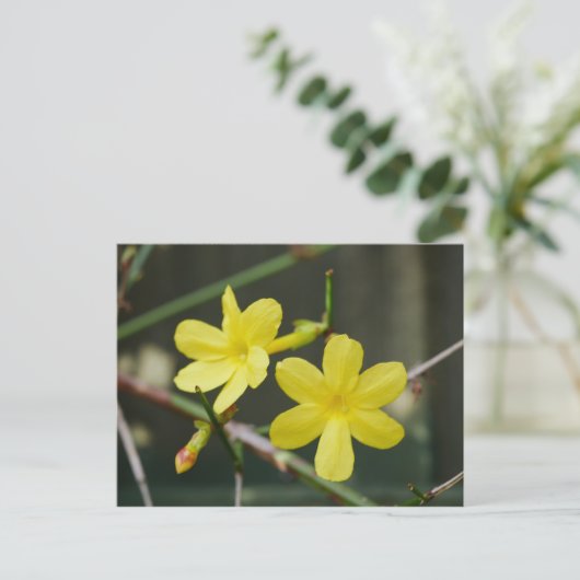 Winter Jasmine Blume Postkarte (Stehend Vorderseite)