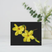 Winter Jasmine Postcard Postkarte (Stehend Vorderseite)