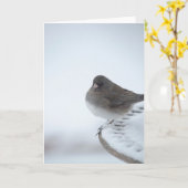 Winter Junco Karte (Gelbe Blume)