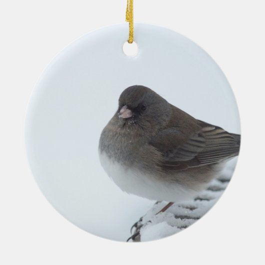 Winter Junco Keramik Ornament (Hinten)