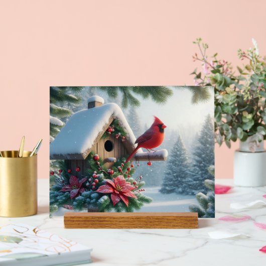 Winter Kardinal auf einem festlichen Geburtshaus Acrylschild (Hochzeit)