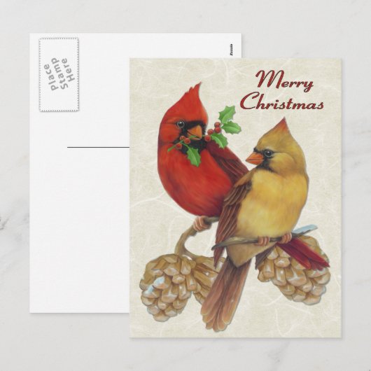 Winter-Kardinal Feiertagspostkarte (Vorne/Hinten)