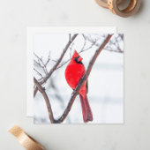 Winter Kardinal Flat Notecard Mitteilungskarte (Vorderseite/Rückseite Beispiel)