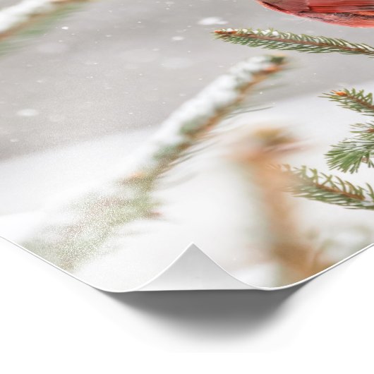 Winter Kardinal Fotodruck (Ecke)