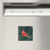 Winter-Kardinal im Schneesturm - Verbessert Magnet (In Situ (Geschirrspüler))