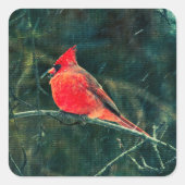 Winter-Kardinal im Schneesturm - Verbessert Quadratischer Aufkleber (Vorderseite)
