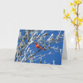Winter Kardinal Karte (Gelbe Blume)