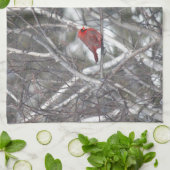 Winter Kardinal Küchentuch (Gefaltet)