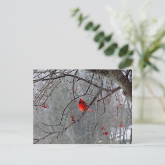 Winter Kardinal Postkarte (Stehend Vorderseite)
