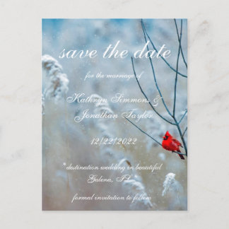 Winter Kardinal Save the Date Einladung Postkarte