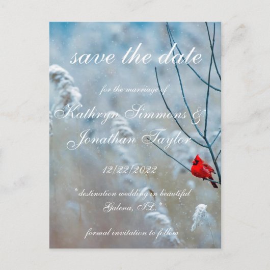 Winter Kardinal Save the Date Einladung Postkarte (Vorderseite)