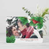 Winter Kardinals Foto Feiertagskarte (Stehend Vorderseite)