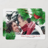 Winter Kardinals Foto Feiertagskarte (Vorne/Hinten)