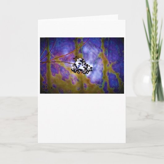 Winter, Karte (Vorderseite)