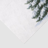Winter-Kiefer Seidenpapier (Ausschnitt)