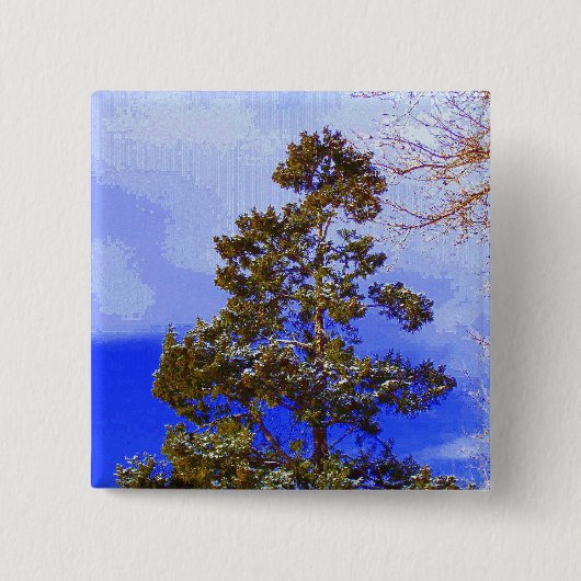 Winter-Kiefernknopf Button (Vorderseite)