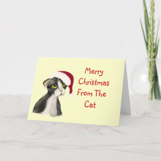 Winter Kitten Feiertagskarte