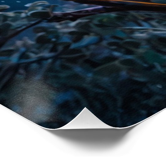 Winter Koala und Südlichter Poster (Ecke)