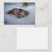 Winter - Kurz-geschliffenes Weasel Mitteilungskarte (Vorne/Hinten)
