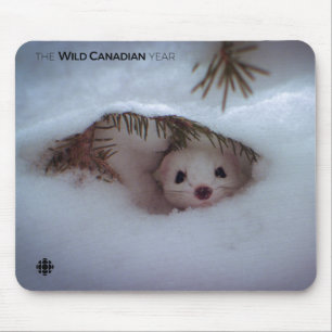 Winter - Kurz-geschliffenes Weasel Mousepad