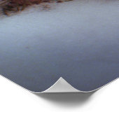 Winter - Kurz-geschliffenes Weasel Poster (Ecke)