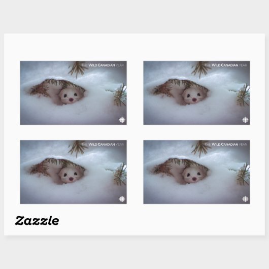 Winter - Kurz-geschliffenes Weasel Rechteckiger Aufkleber (Blatt)