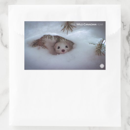 Winter - Kurz-geschliffenes Weasel Rechteckiger Aufkleber (Tasche)