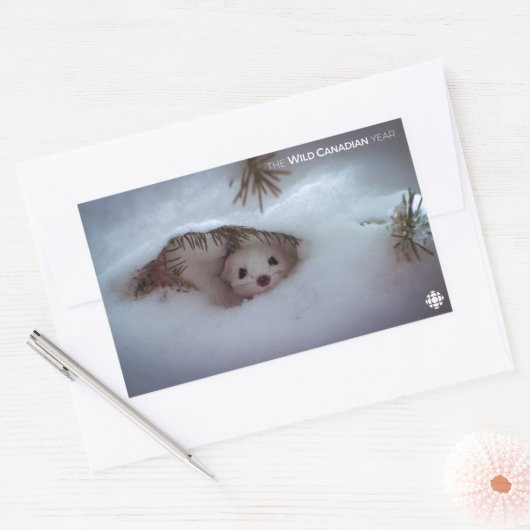 Winter - Kurz-geschliffenes Weasel Rechteckiger Aufkleber (Umschlag)