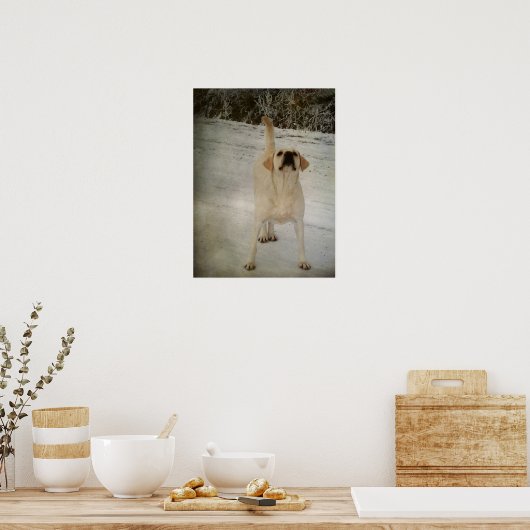 Winter Labrador Poster (Küche)