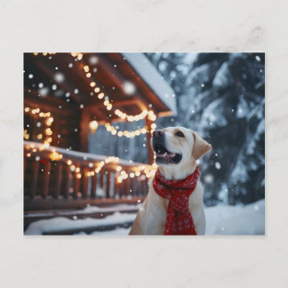Winter Labrador Weihnachtskarte Feiertagspostkarte