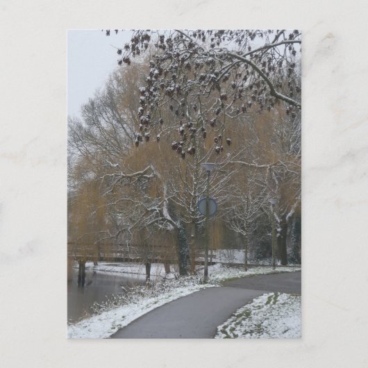 Winter Landscape DIY Postcard Feiertagspostkarte (Vorderseite)