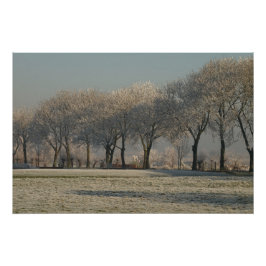 Winter landscape  poster