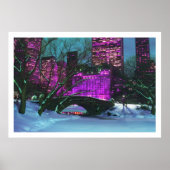 Winter Landschaft Central Park New York Poster (Vorne)