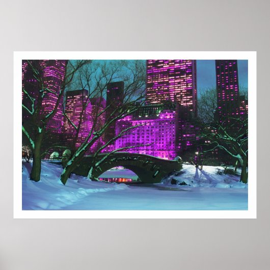 Winter Landschaft Central Park New York Poster (Vorne)