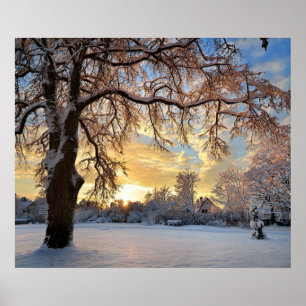 Winter-Landschaft in Lettland Poster
