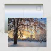 Winter-Landschaft in Lettland Postkarte (Vorne/Hinten)