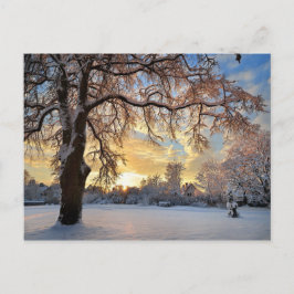 Winter-Landschaft in Lettland Postkarte