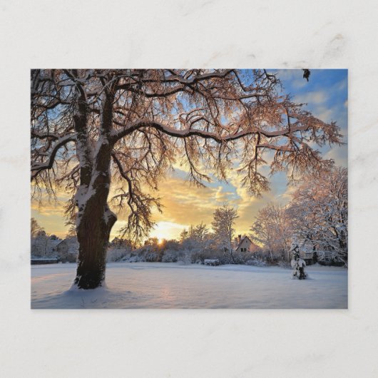 Winter-Landschaft in Lettland Postkarte (Vorderseite)