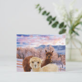 Winter Llamas Postkarte (Stehend Vorderseite)