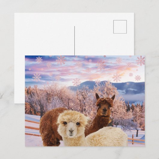 Winter Llamas Postkarte (Vorne/Hinten)