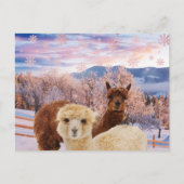 Winter Llamas Postkarte (Vorderseite)