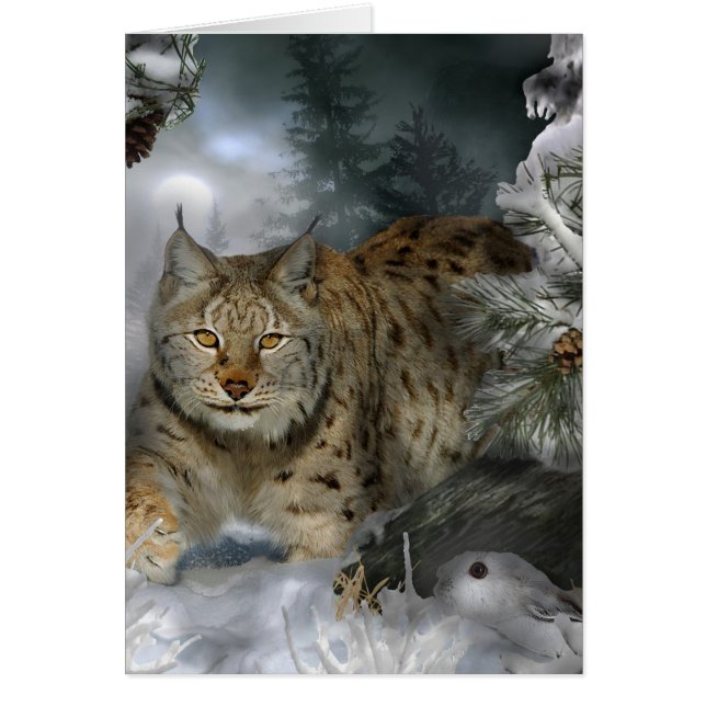 Winter-Luchs (Vorne)