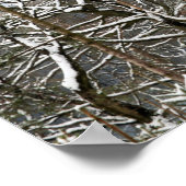 Winter Macclesfield Forest Card Canvas Print Poster (Ecke)