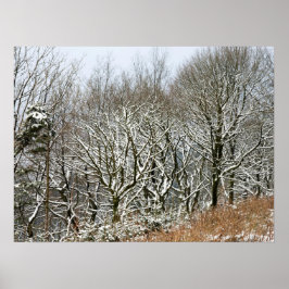 Winter Macclesfield Forest Card Canvas Print Poster
